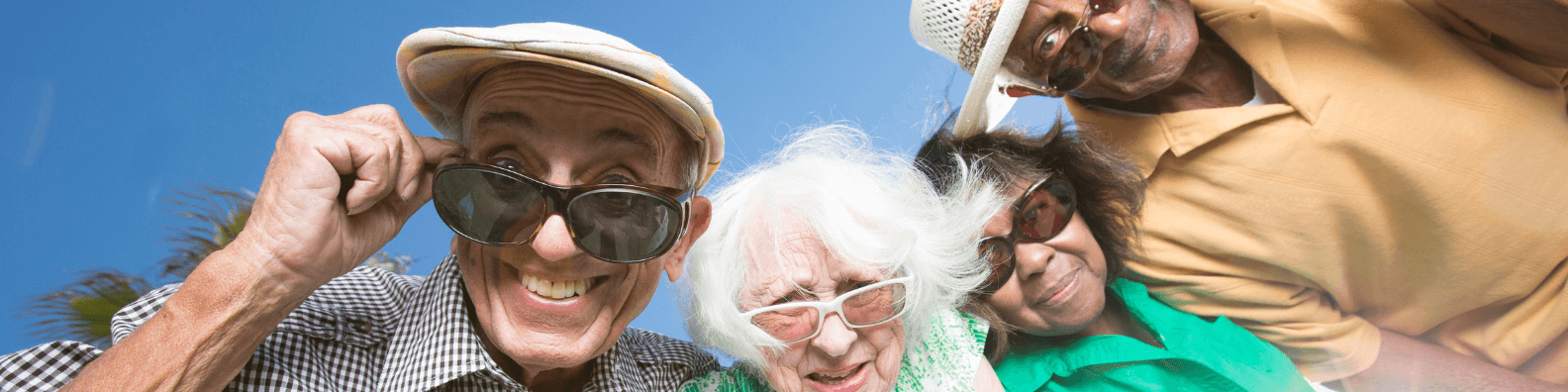 travel companions for dementia care