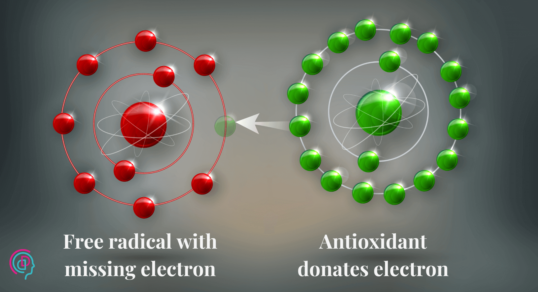 How Antioxidant Works against Free Radicals