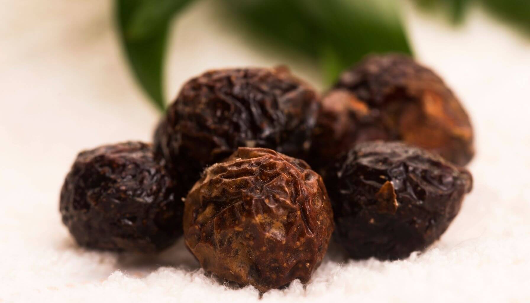 Himalayas—soap nuts, from the Sapindus mukorossi tree