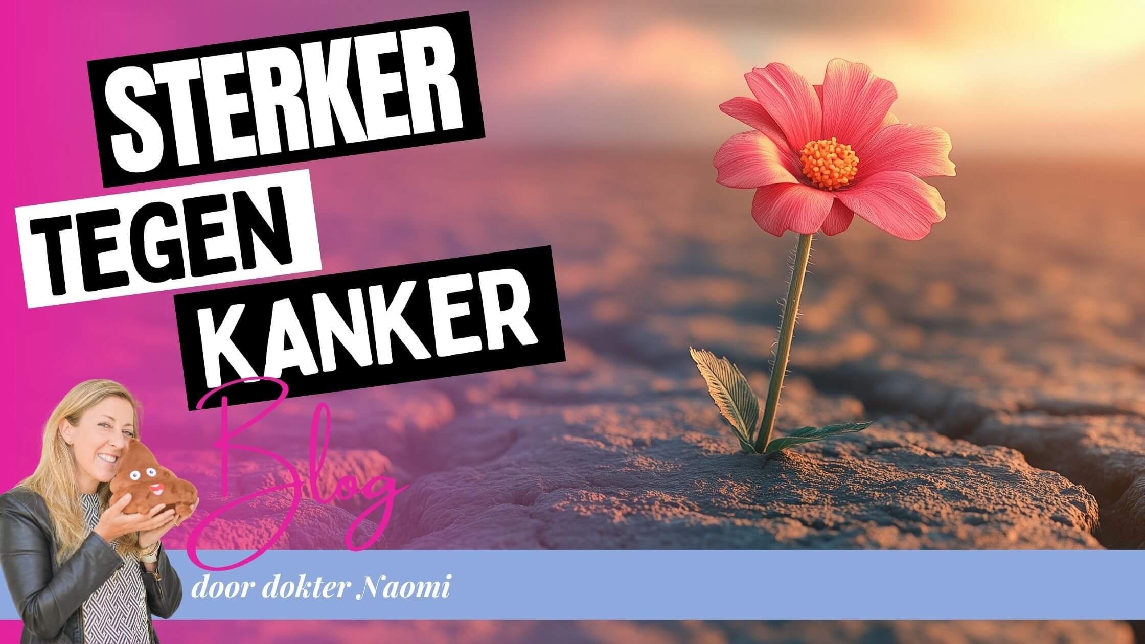  Bloeiende bloem op rots – symbool van veerkracht bij kanker