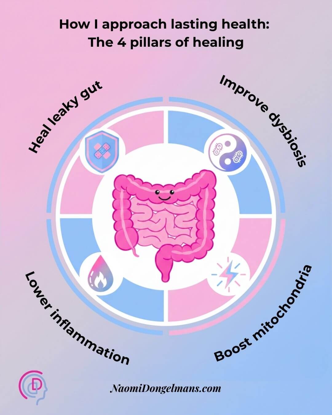 Diagram of gut health approach: leaky gut, dysbiosis, inflammation, mitochondria