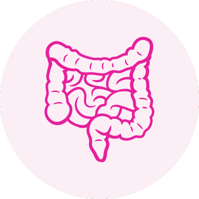 gut health icon