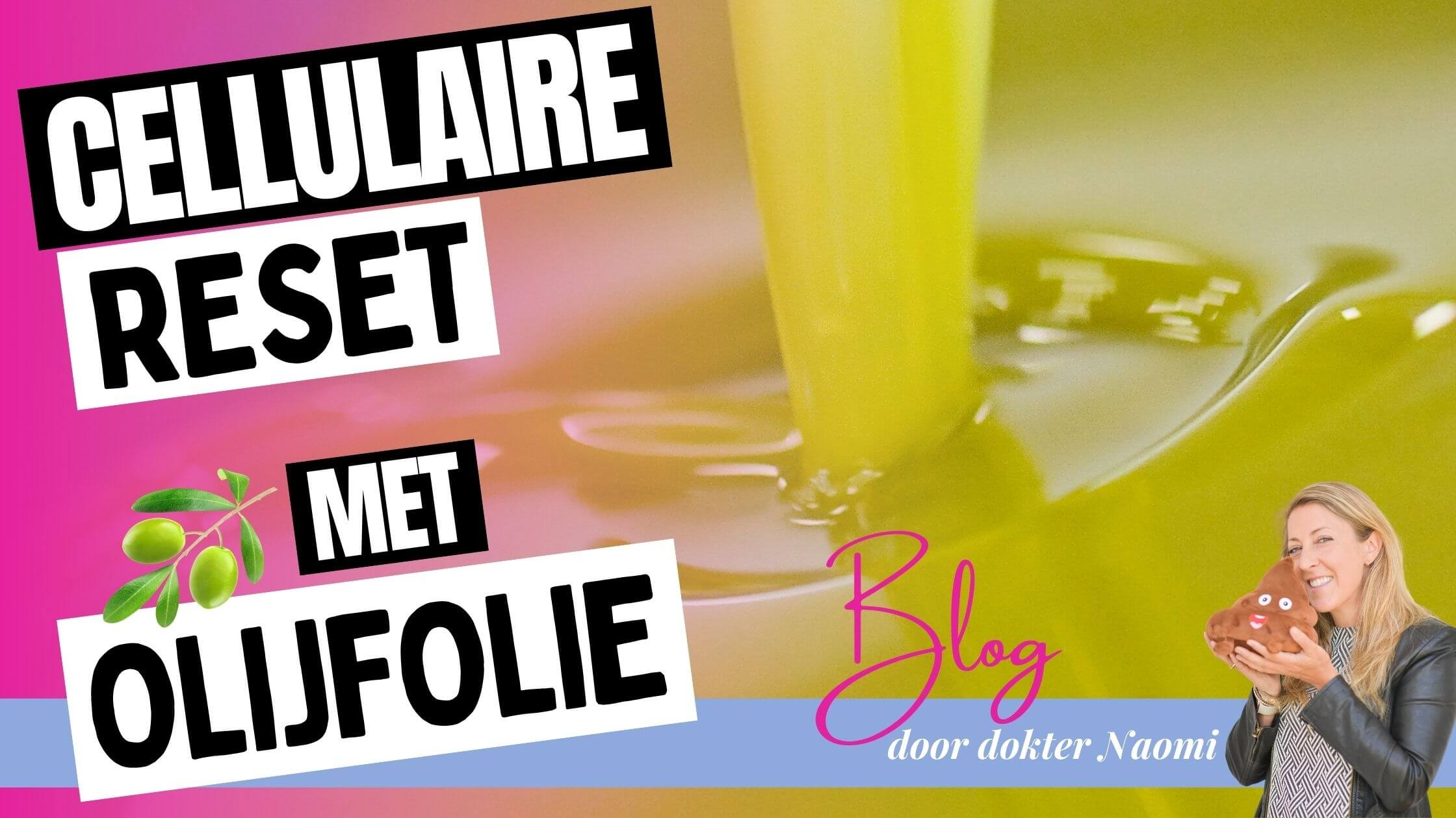  extra vierge olijfolie met groene olijftak, symbool voor cellulaire reset en gezondheid