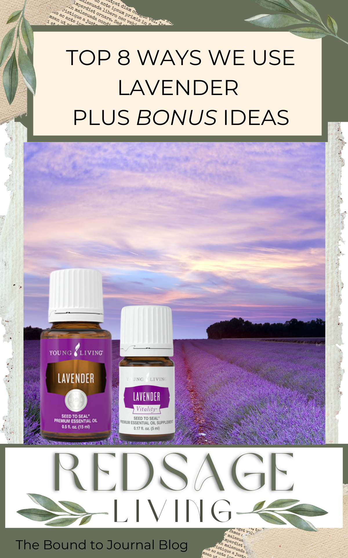 Two bottles of Young Living lavender essential oil and lavender vitality oil with lavender field in the background and title of post, Redsage Living