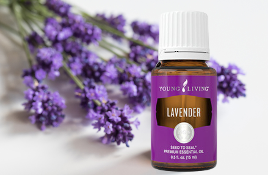 A bottle of Young Living lavender essential oil in front of cut lavender stems