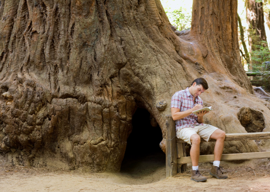 man sitting on fence journaing in front of very large old tree