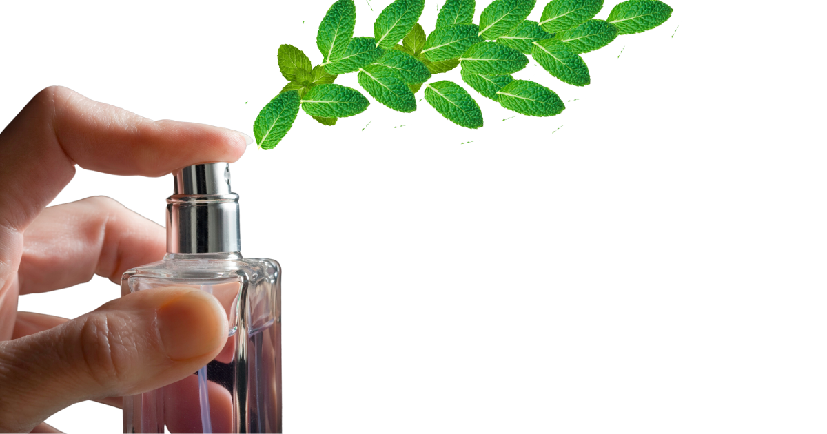 a finger holding down the nozzle of a spray bottle with peppermint leaves spraying out the topy