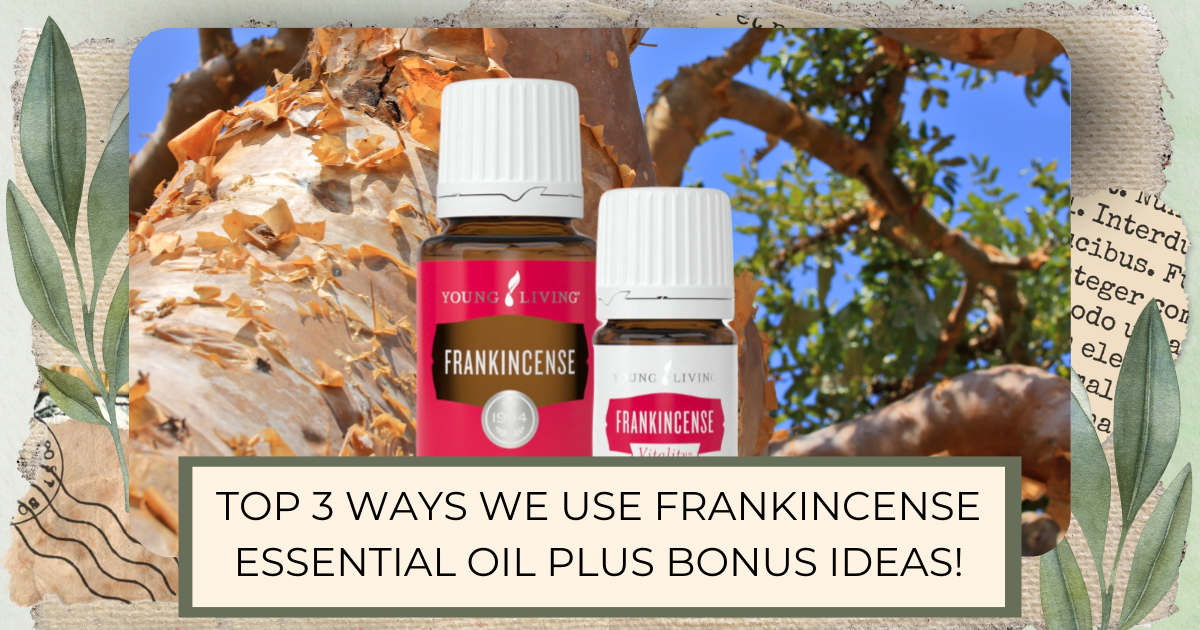 Two Young Living essential oil bottles of Frankincense superimposed over a closeup of a frankincense tree with post title Top 3 Ways We Use Frankincense Essential OIl Plus Bonus Ideas! H