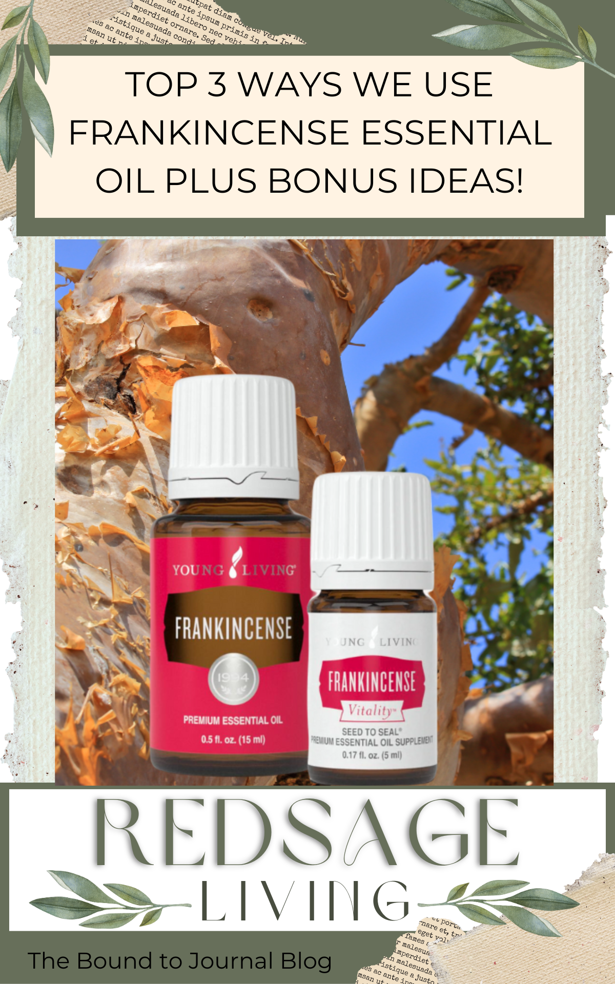 Two Young Living essential oil bottles of Frankincense superimposed over a closeup of a frankincense tree with post title Top 3 Ways We Use Frankincense Essential OIl Plus Bonus Ideas! V