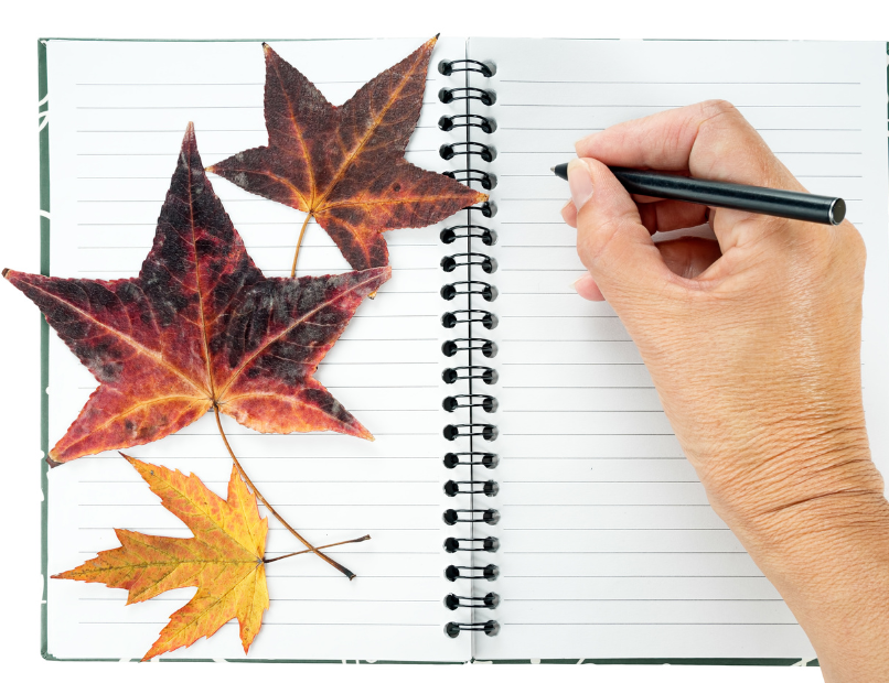 Journal open, hand writing, and three fall leaves setting on the opposite page for post Top 2 Ways to Celebrate Fall: Adventure and Reflection 