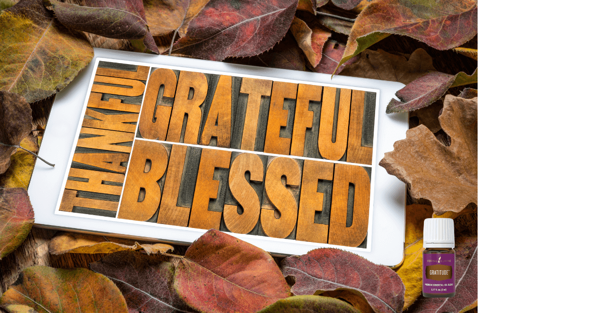 A sign positioned in leaves with Thankful, Grateful, and Blessed on it for post titled A special journaling wish for you today!