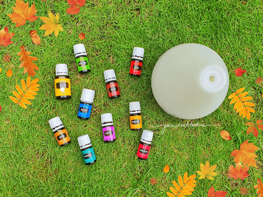 several bottles of Yound Living essential oils next to a diffuser on the grass with fall leaves around it for a post titled 5 Reasons to Diffuse Essential OIls Every Day!