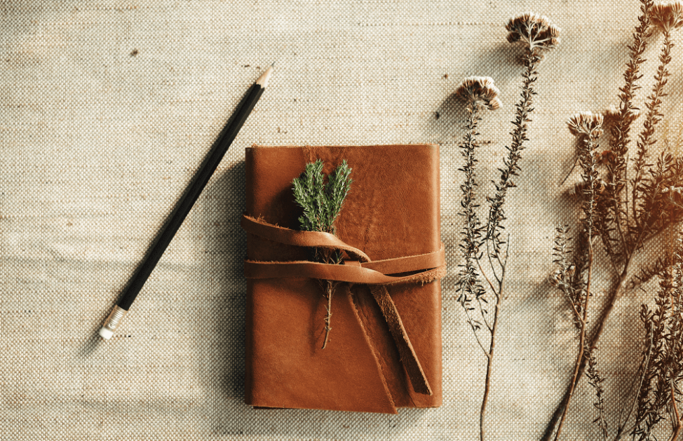 Old leather bound journal with a sprig of greens in the leather wrap, a pen, and bush branches on the right for a post titled4 Types of Journals: Which One Fits Your Style? 