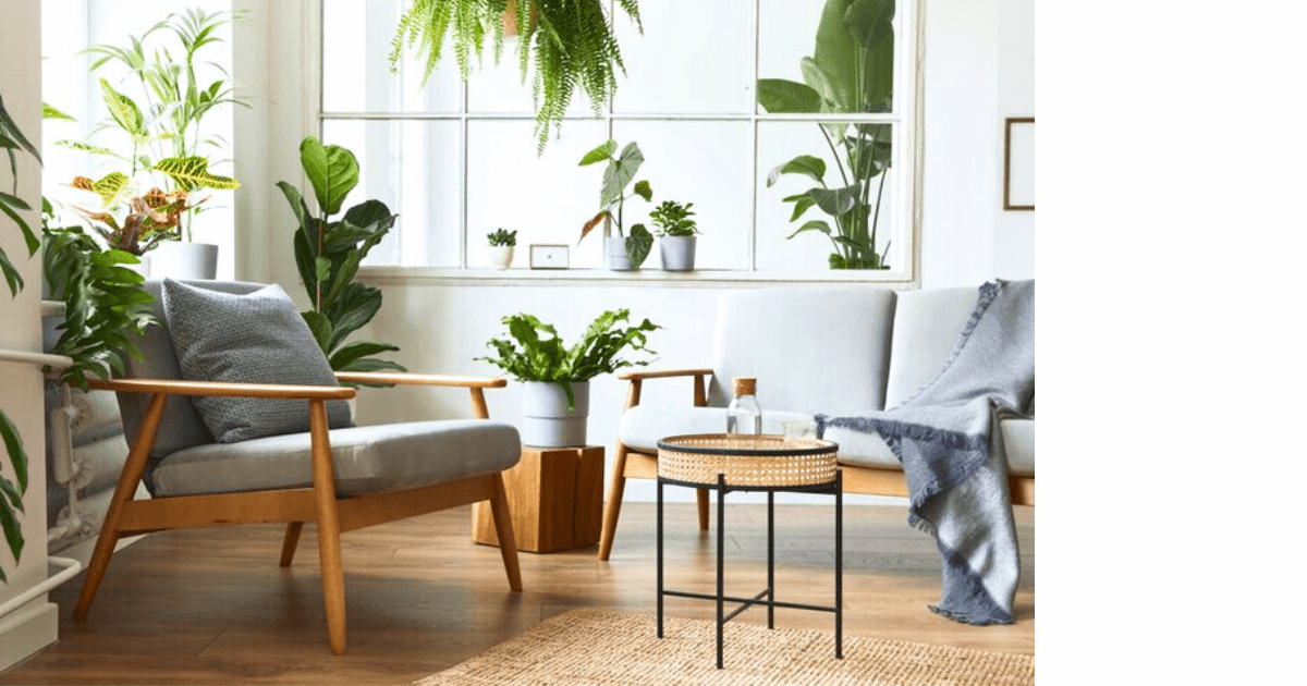 beautiful, sunny journaling nook filled with plants with comfy chairs, windows, and lots of light for post titled How House Plants Can Enhance Your Journaling Experience