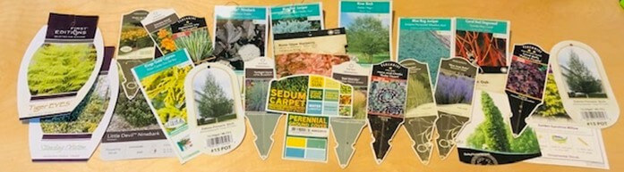 several house plant labels and markers for post titled Top 5 Reasons for Creating a Garden Journal