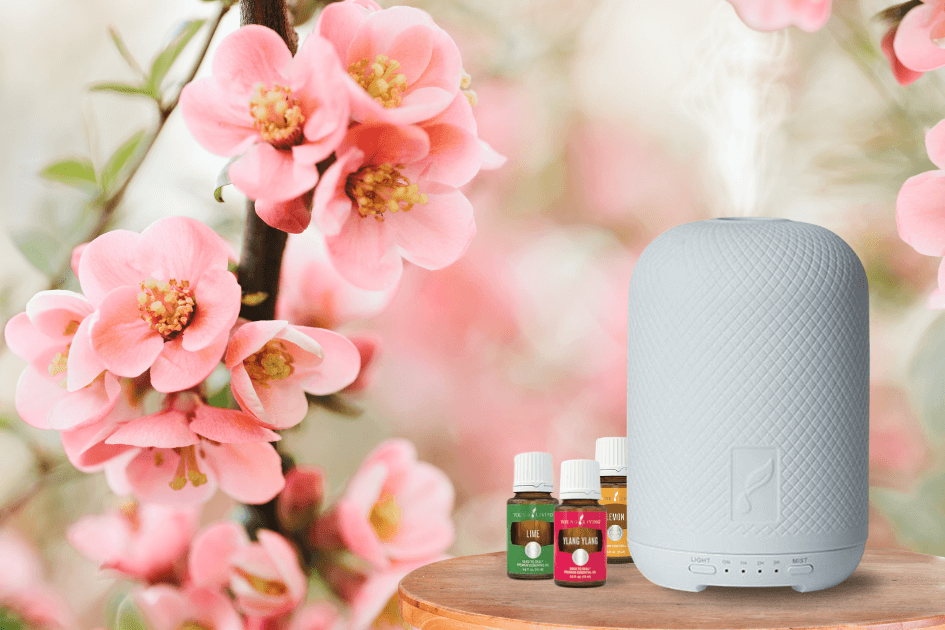 Full pink tree blossoms and diffused pink colored background with Haven diffuser on the right sitting on a round wood tabletop and three young living essential oils next to it for post titled Spring Aromatherapy: Refreshing Diffuser Recipes