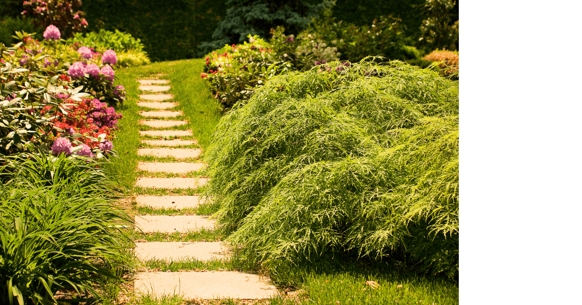 Garden path with blooming flowers and green bushes for a blog post titled Summer Aromatherapy: 5 Diffuser Recipes