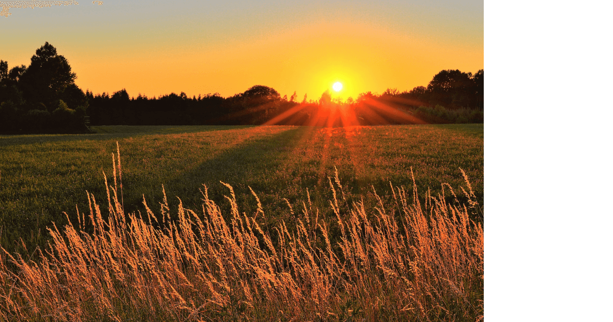 Beautiful orange sunset over prairie grasses for a blog post titled Summer Aromatherapy: 5 Diffuser Recipes