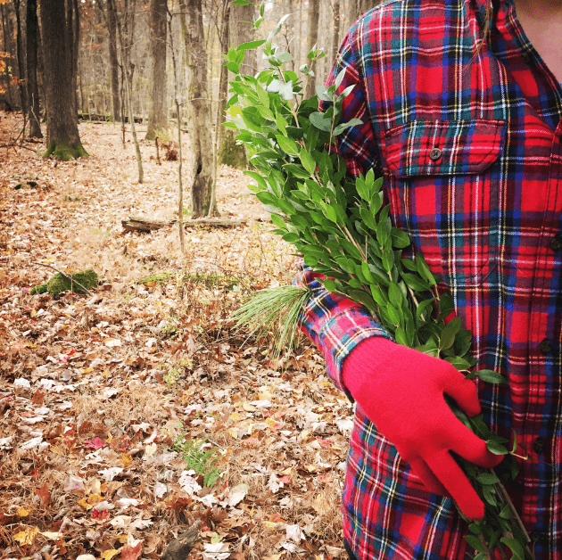 Person wearing a red plaid flannel shirt and red gloves  with evergreen branches under her arm walking in the trees where the ground is covered with fall colored leaves or a Bound to Journal blog post titled Fall Aromatherapy: 5 Seasonal Diffuser Recipes 