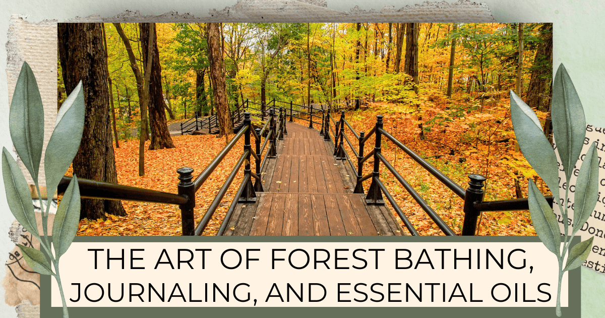 Walk path through the forest, fall leaves, for our Bound to Journal  blog post titled The Art of Forest Bathing, Journaling, and Essential Oils