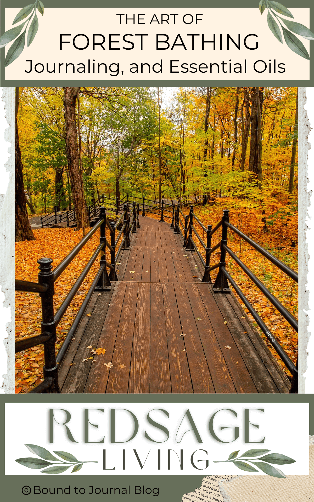 Walk path through the forest, fall leaves, for our Bound to Journal  blog post titled The Art of Forest Bathing, Journaling, and Essential Oils