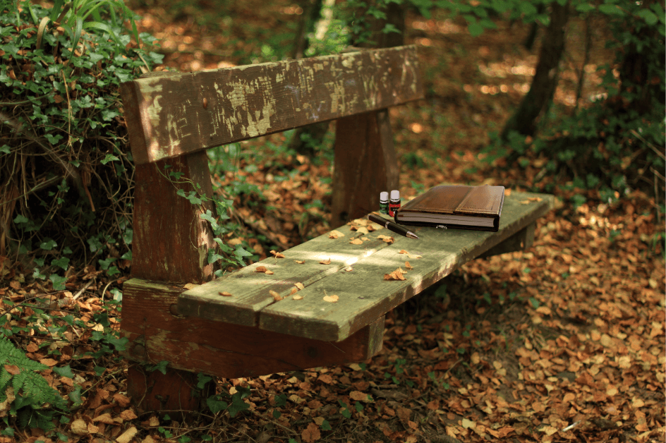  An old woodend bench sitting in the forest with fall leaves all around, a journal, pen, and bottles of essential oil sitting next to it for our Bound to Journal  blog post titled The Art of Forest Bathing, Journaling, and Essential Oils 