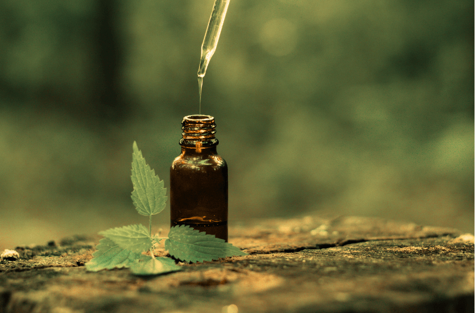  An amber bottle sitting on a forest stump with a leaf next to it and a dropper dropping essential oil into the open bottle  for our Bound to Journal  blog post titled The Art of Forest Bathing, Journaling, and Essential Oils