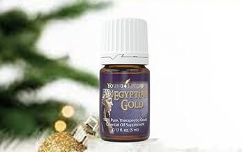   A bottle of young living Egyptian Gold essential oil near a gold christmas ornament and branches from an evergreen in the background for a blog post titled Ancient Oils: The Perfect Companion for Holiday Journaling