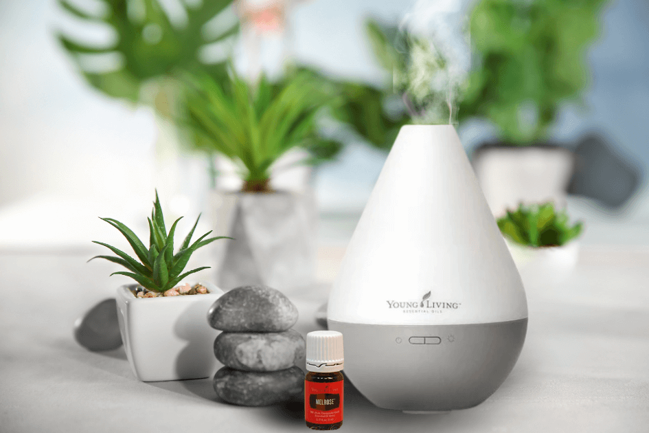  plants in white planters, a rock cairnes, a diffuser and a bottle of Young Living essential oil on a white marble table  for a new Bound to Journal blog post titled Creating a Healthy Home: Improving Air Quality for a Safer, Rejuvenating Space