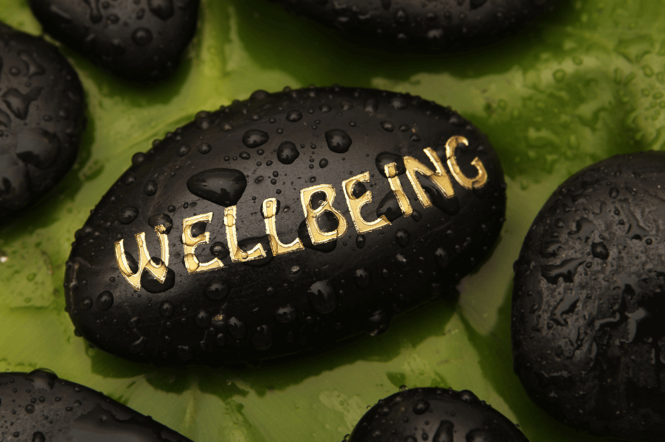A wet, black stone sits on a green leaf with the word "Wellbeing" written on it for a Bound to Journal blog post titled "Embrace Fall: How Aromas and Nature Support Mood, Memory, and Journaling."