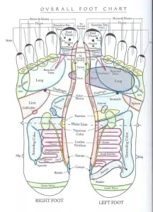 vitaflex(1)