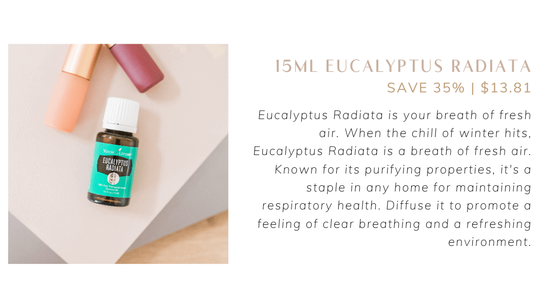 Eucalyptus Radiata Info