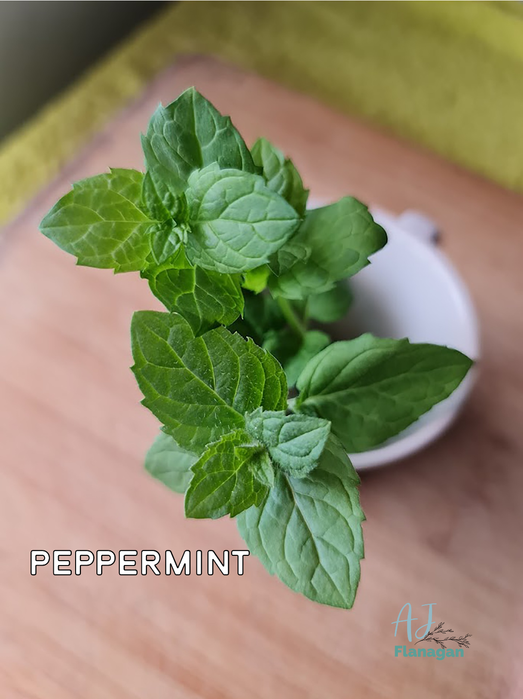 Peppermint, Peppermint Vitality, essential oil 