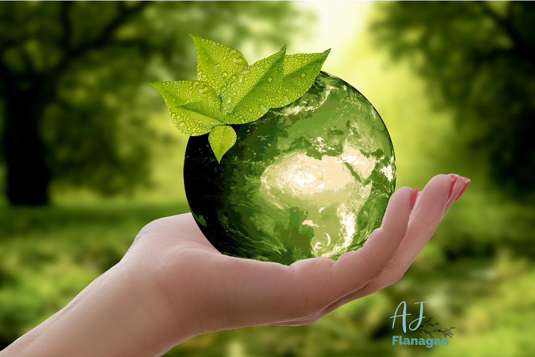 Sustainable living, a holistic approach