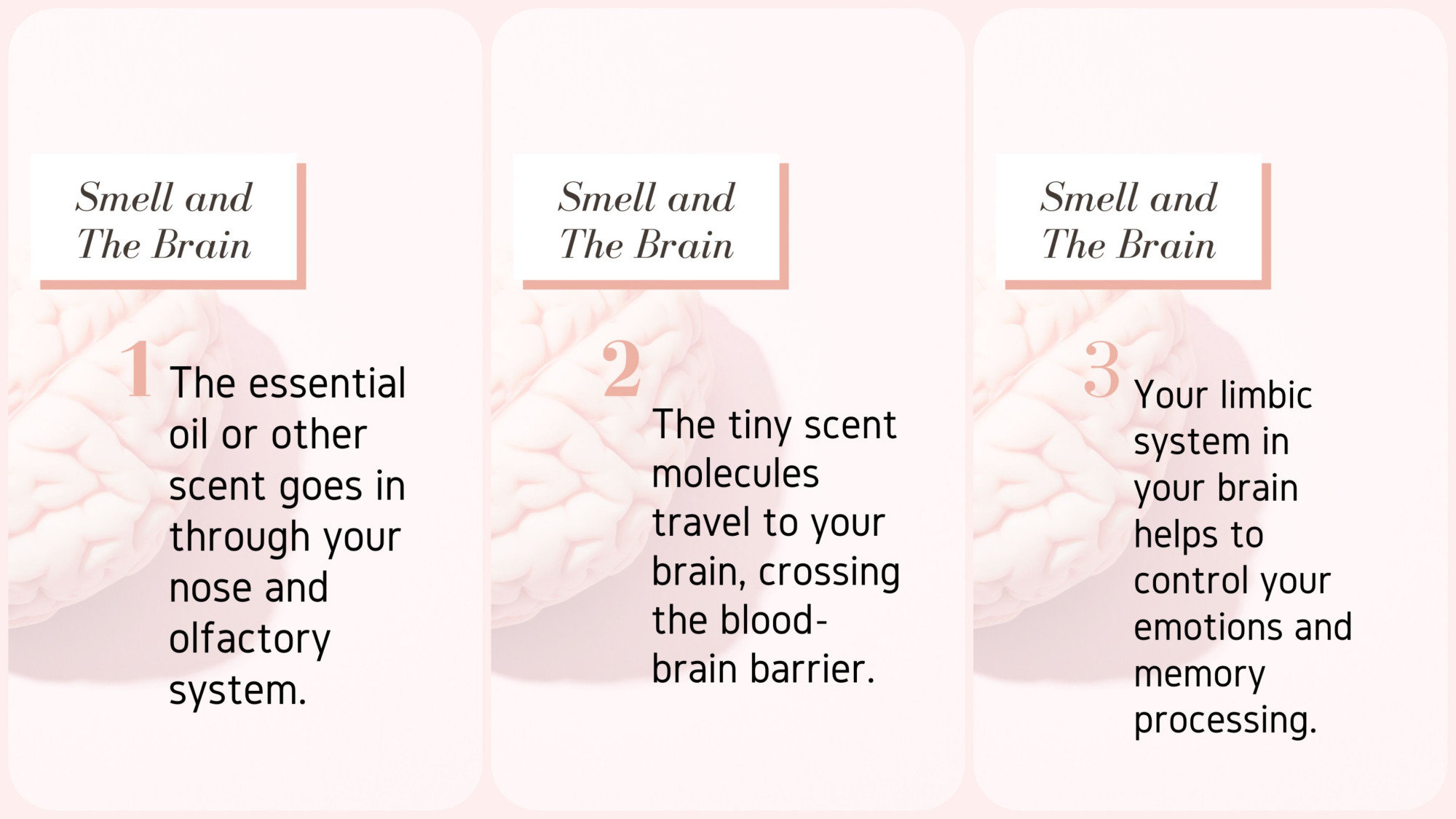 Smell and the Brain