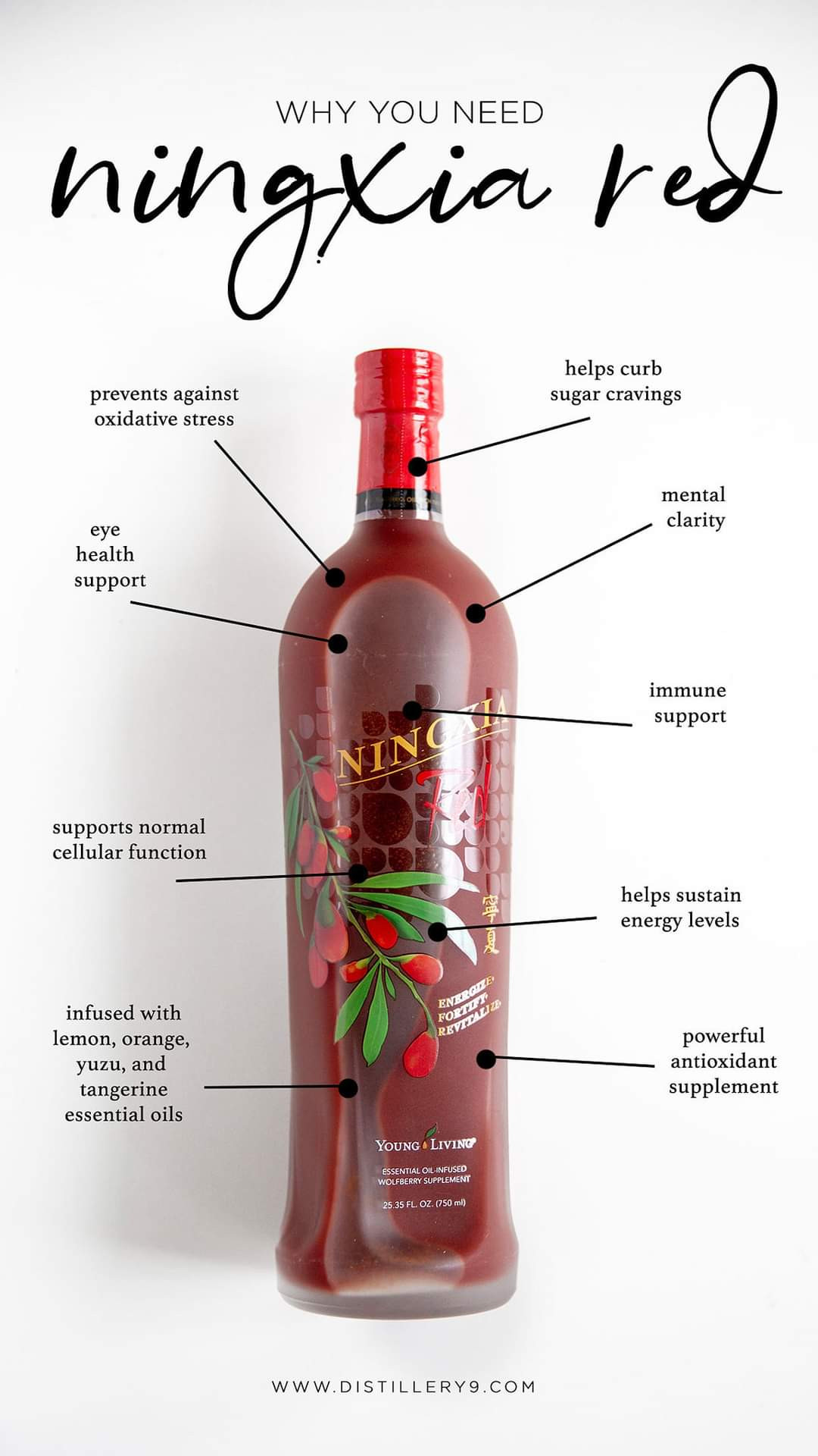 Energy from NingXia 