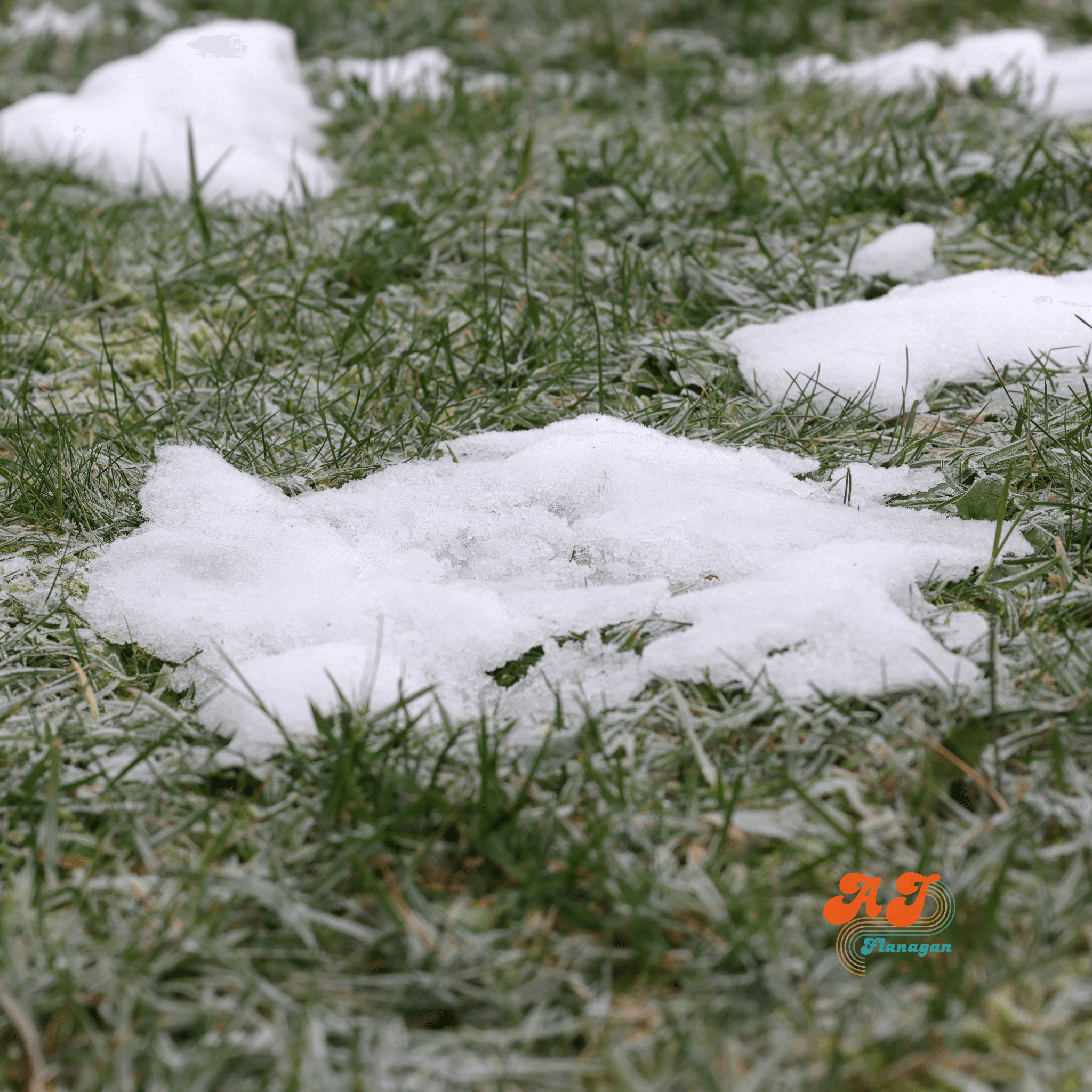  Spring thaw, melting snow, green grass