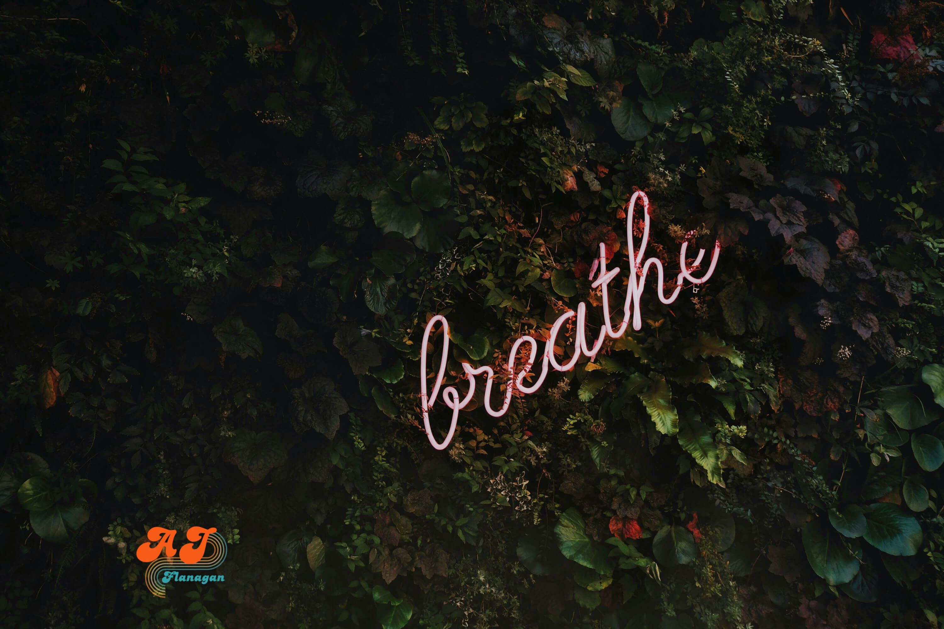  Breathe: Why breathing is a big deal