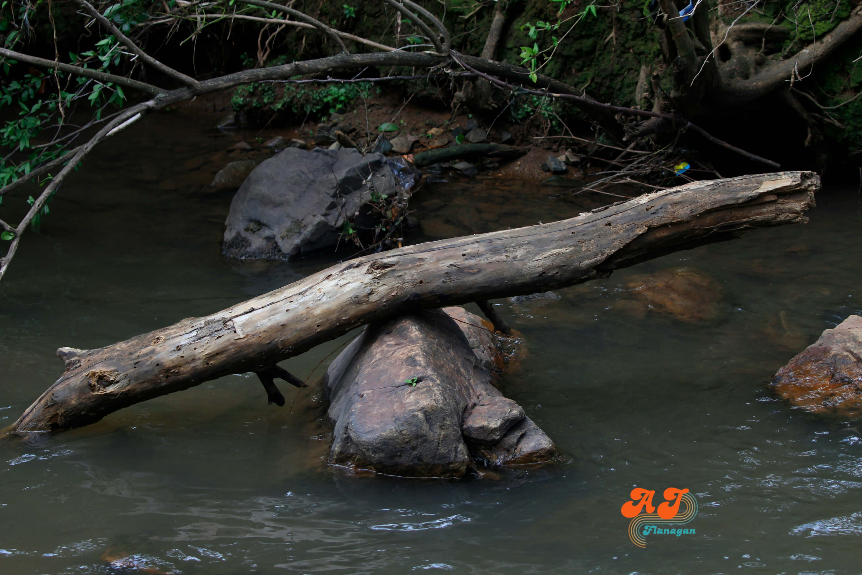 Finding Peace in the In-Between; balancing calmly midstream