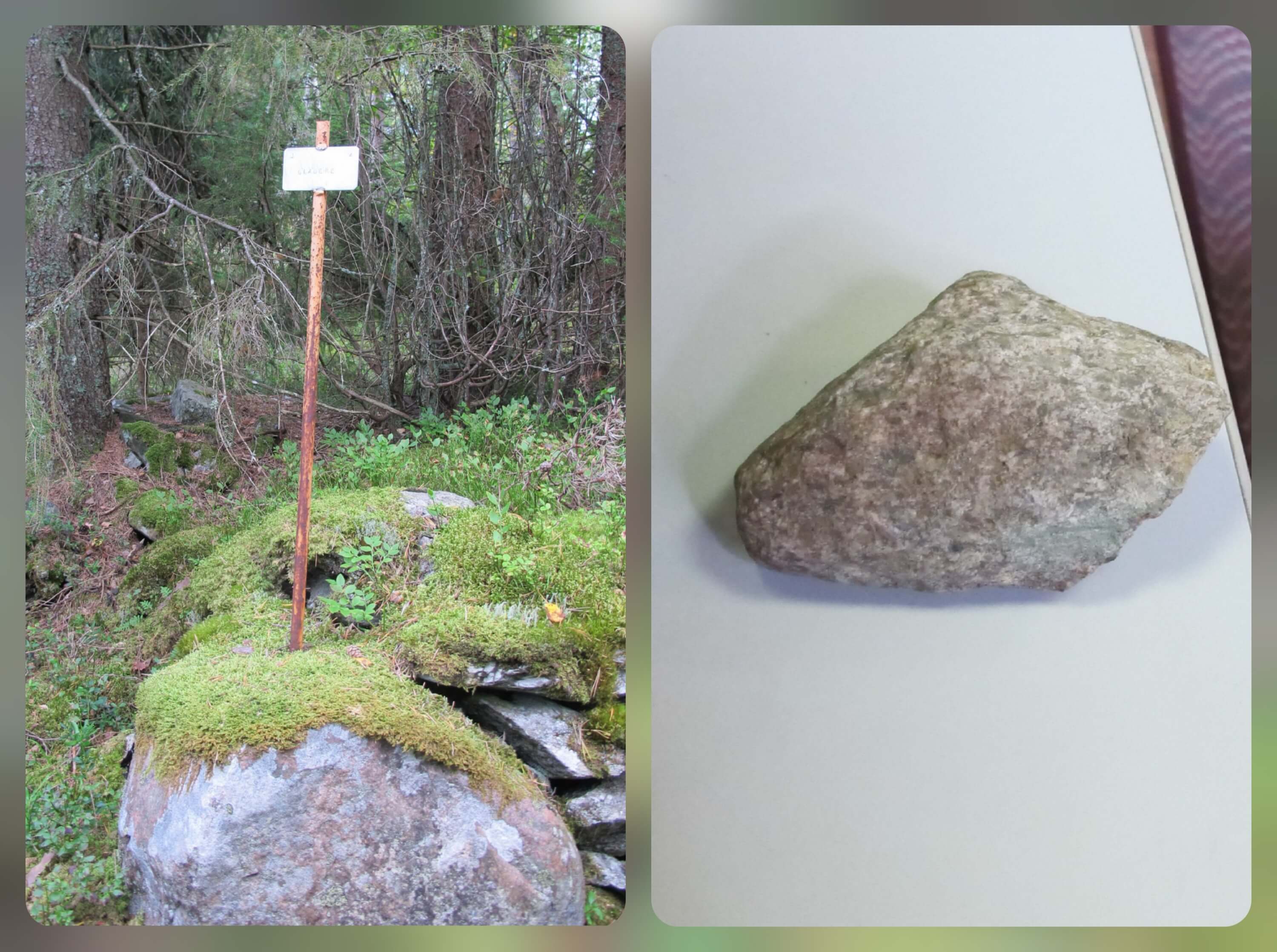 What a Stone and a Story Taught Me About Belonging