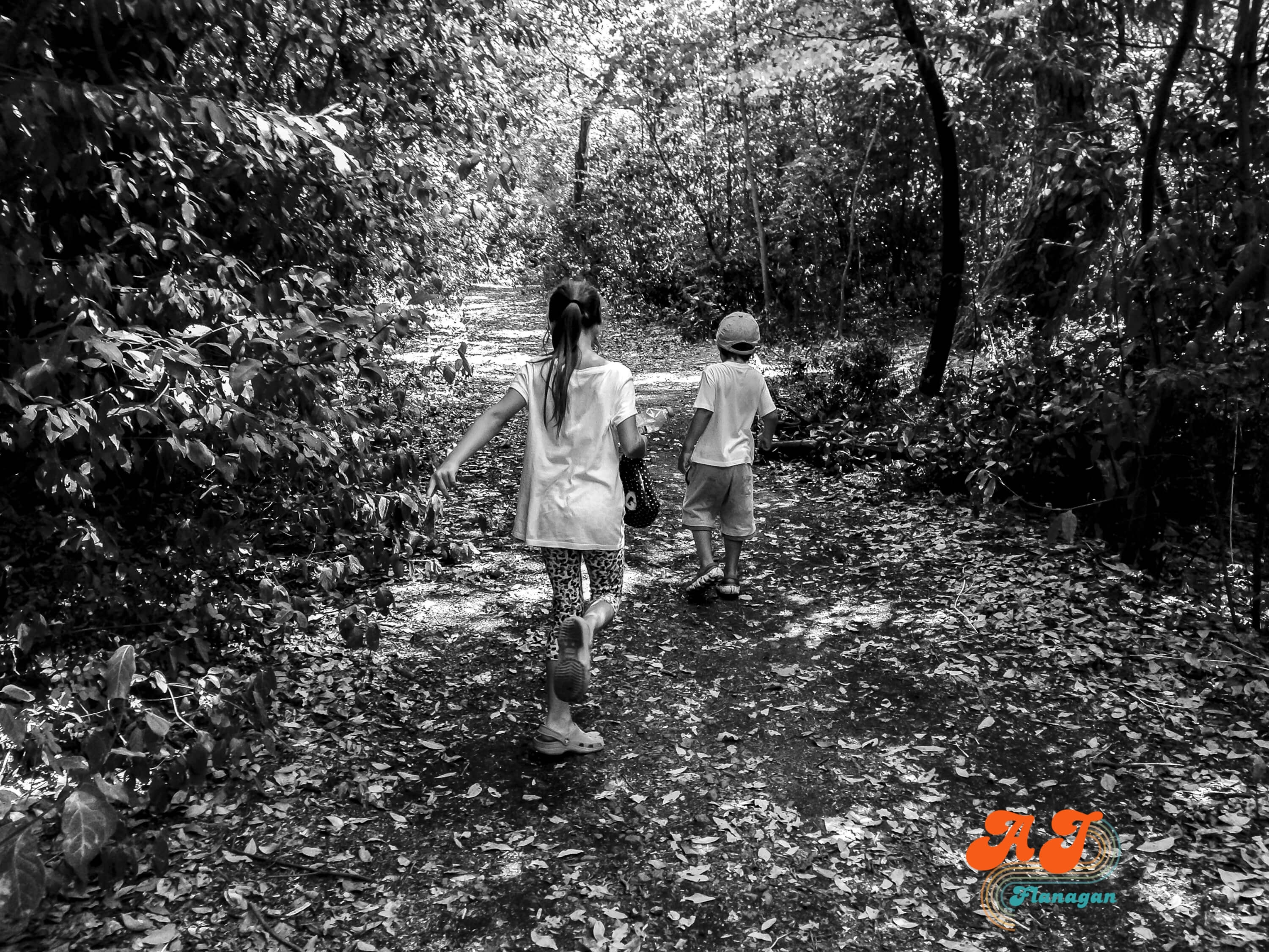 Kids running through the woods; The Rush is Not the Goal