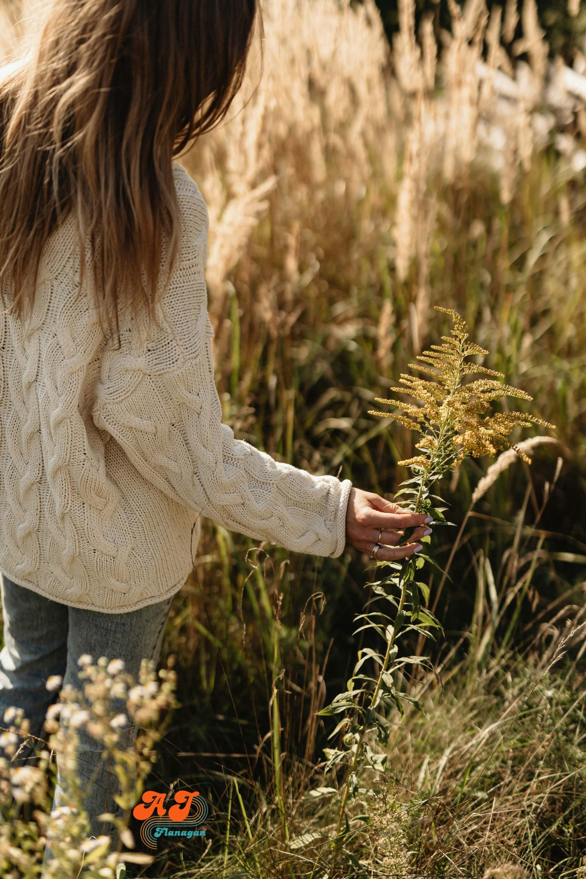 Here's to Stillness Like I Remember It