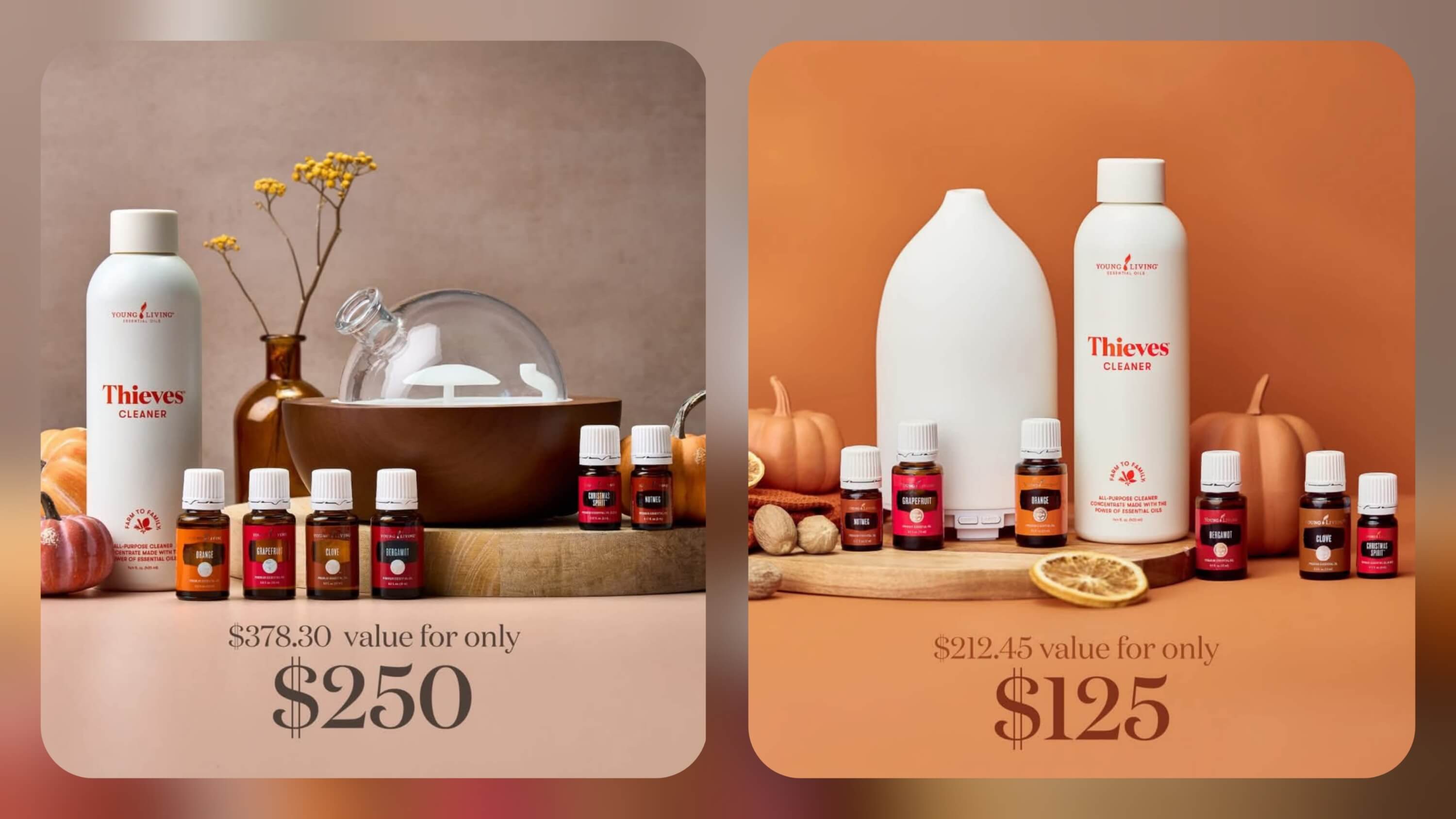 A couple Starter Bundle options