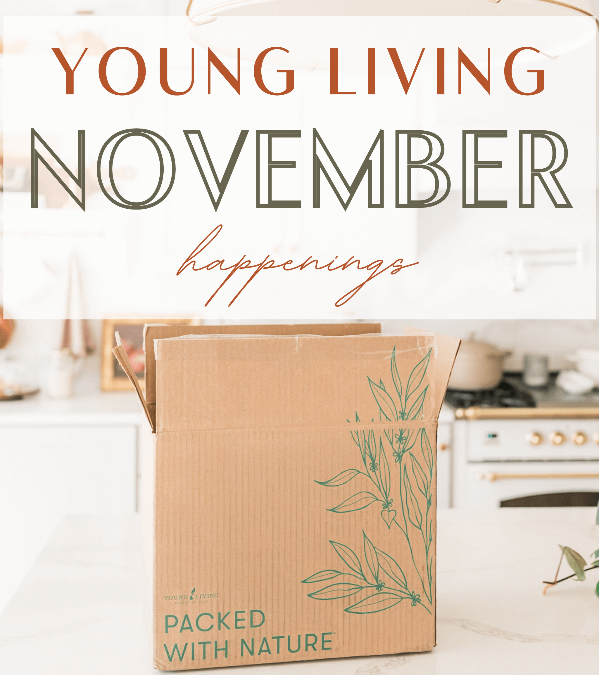  YL November Happenings Graphic