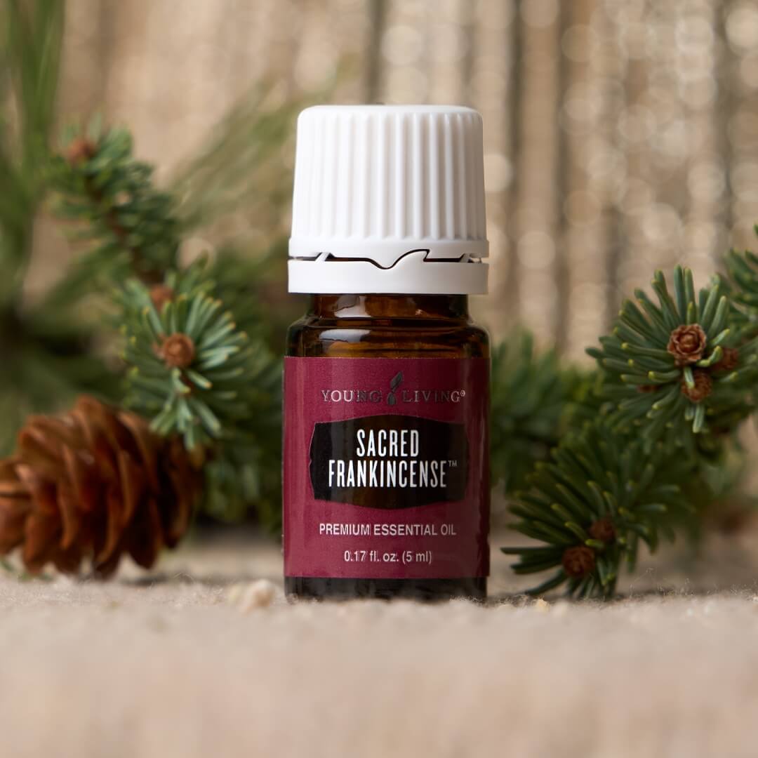 Young Living® Sacred Frankincense™ essential oil displayed in a warm winter scene with evergreen sprigs and soft golden light, highlighting December’s Loyalty Rewards exclusive.