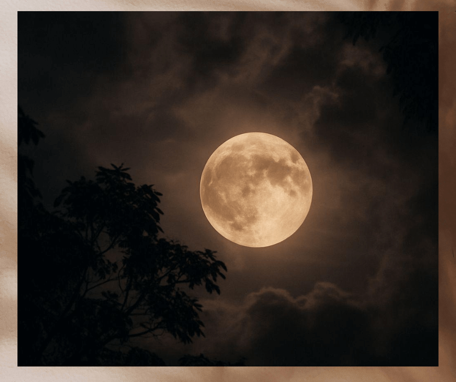  Image of Full Moon